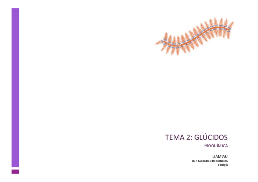 Miniatura del documento Tema-2-glucidos-ESQUEMA.pdf