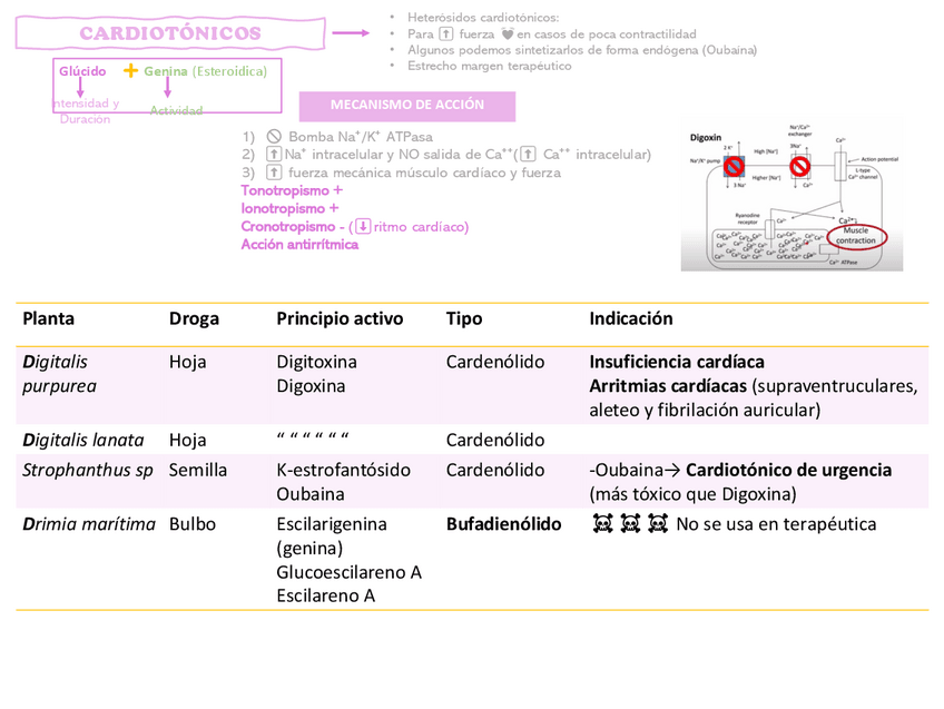 Miniatura del documento Drogas-Cardiovasculares.pdf