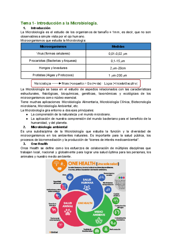 Miniatura del documento TEMARIO-COMPLETO-DE-MICROBIOLOGIA.pdf