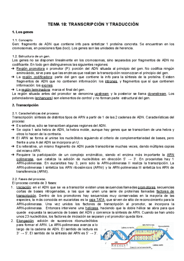 Miniatura del documento TEMA-18-Transcripcion-y-Traduccion.pdf