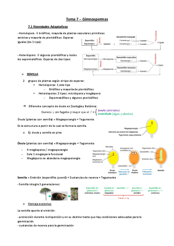 Miniatura del documento Tema-7-botanica.pdf
