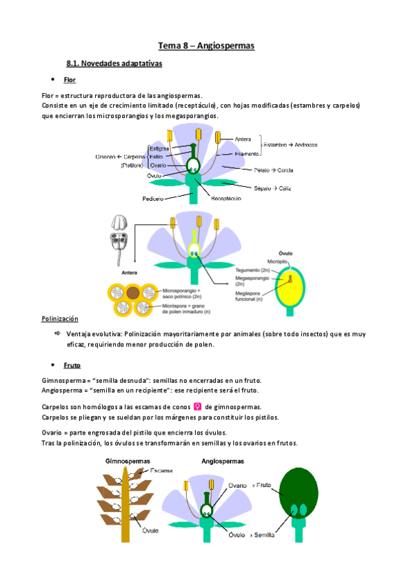 Miniatura del documento Tema-8-botanica.pdf