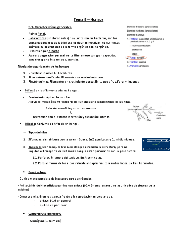 Miniatura del documento Tema-9-botanica.pdf