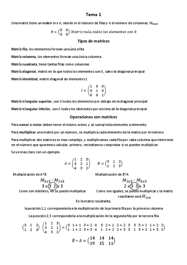 Miniatura del documento MATRICES-RESUMEN.pdf