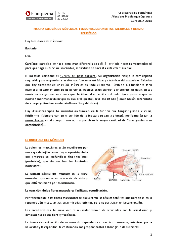 Miniatura del documento FISIOPATOLOGÍA.pdf