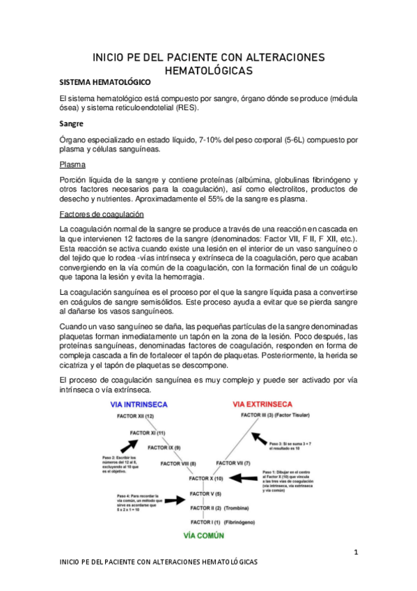 Miniatura del documento 1-INICIO-PE-DEL-PACIENTE-CON-ALT-HEMATOLOGICAS.pdf