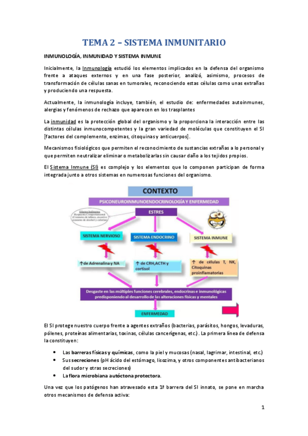 Miniatura del documento 1.pdf