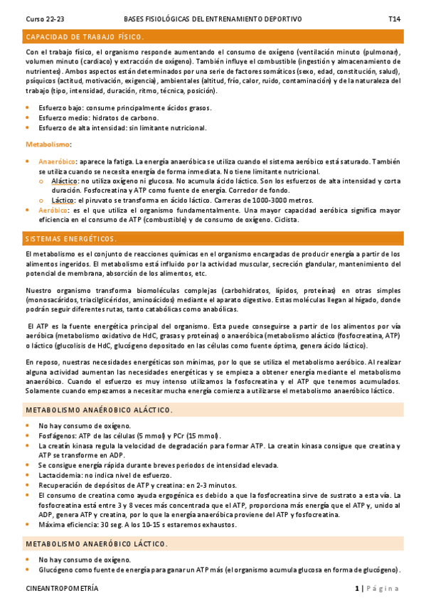 Miniatura del documento T14.pdf