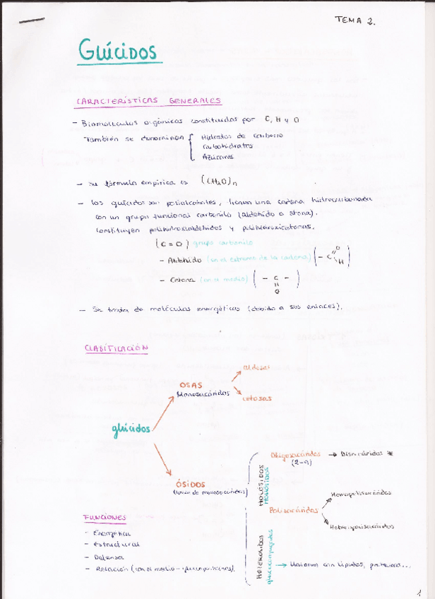 Miniatura del documento 2- Glúcidos.pdf