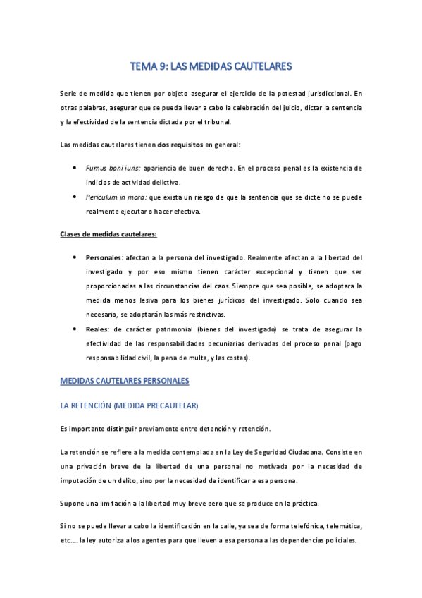 Miniatura del documento TEMA-9Las-medidas-cautelares.pdf