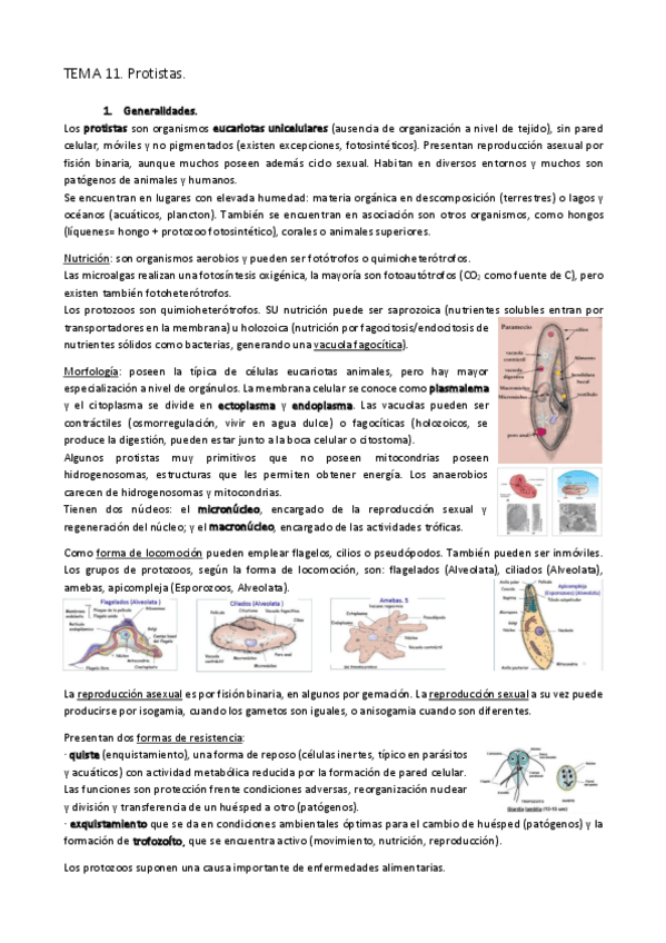 Miniatura del documento TEMA-11.-Protistas.pdf