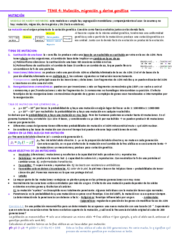 Miniatura del documento GEV-TEMA-4.pdf