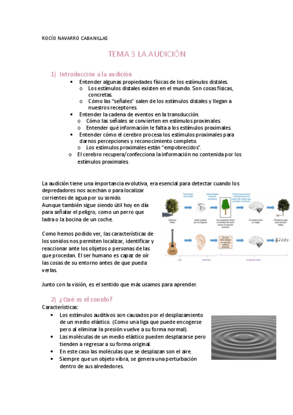 Miniatura del documento apuntes-tema-3.pdf