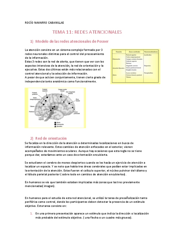 Miniatura del documento apuntes-tema-11.pdf