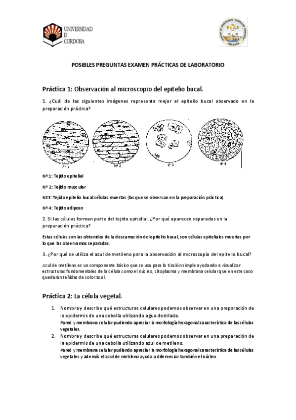 Miniatura del documento POSIBLES-PREGUNTAS-EXAMEN-PRACTICAS-DE-LABORATORIO-CON-RESPUESTAS.pdf