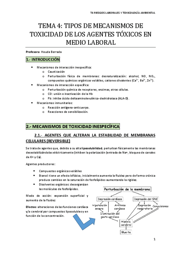 Miniatura del documento Tema 4.pdf