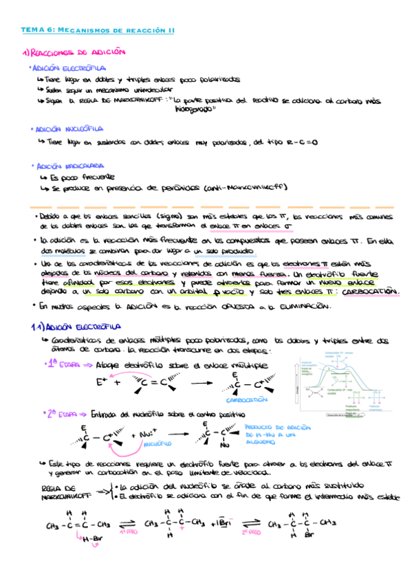 Miniatura del documento Tema-6-Mecanismos-de-reaccion-II.pdf