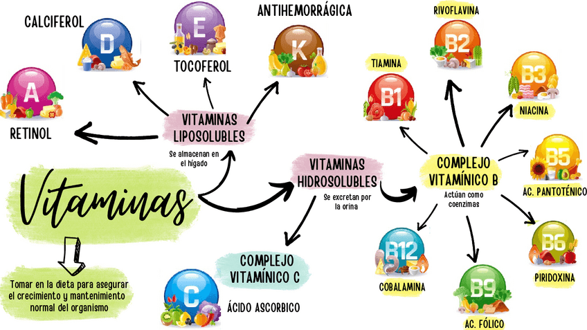 Miniatura del documento MAPA-MENTAL-VITAMINAS-PDF.pdf