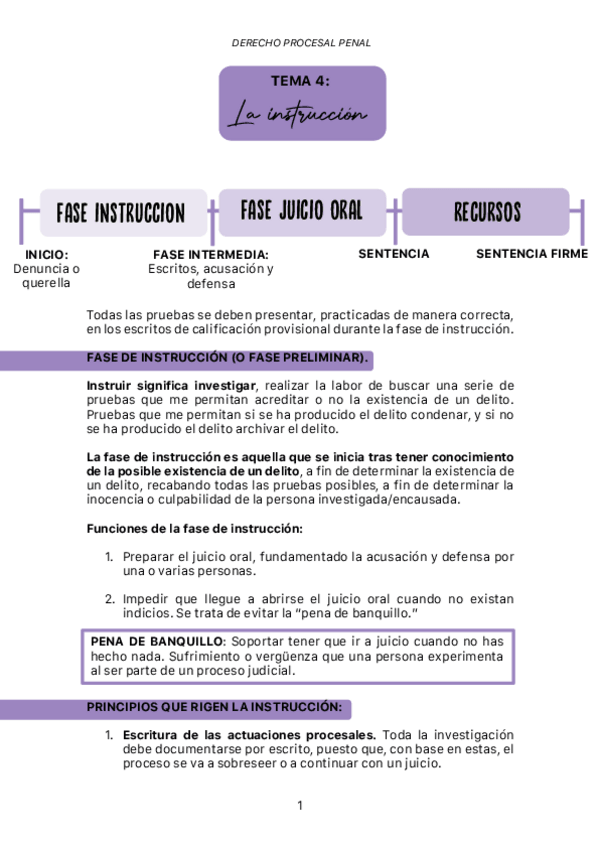 Miniatura del documento Tema-4-Derecho-Procesal-Penal.pdf