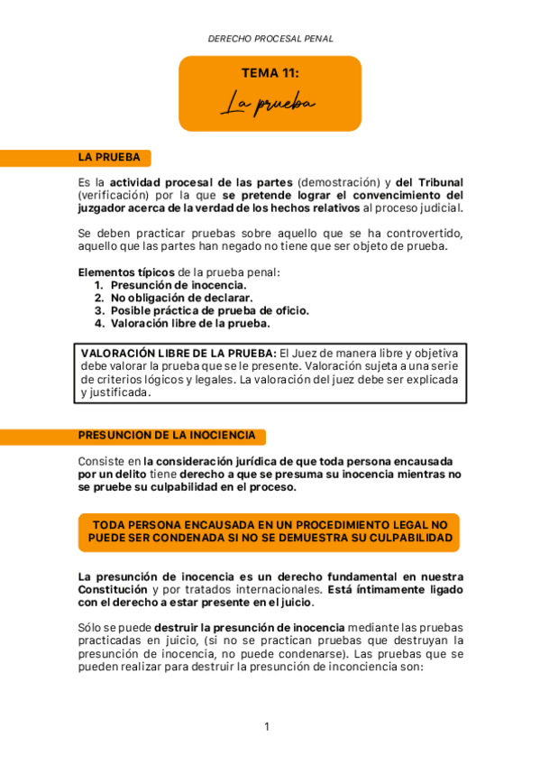 Miniatura del documento Tema-11-Derecho-Procesal-Penal.pdf