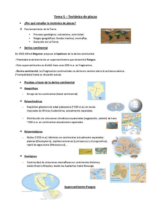 Miniatura del documento Tema-5-geologia.pdf