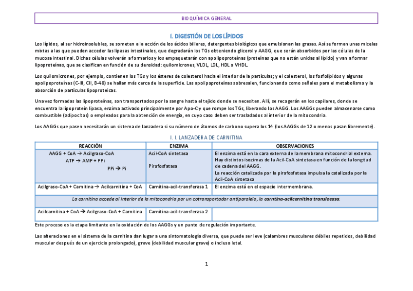 Miniatura del documento CATABOLISMO-DE-LIPIDOS.pdf