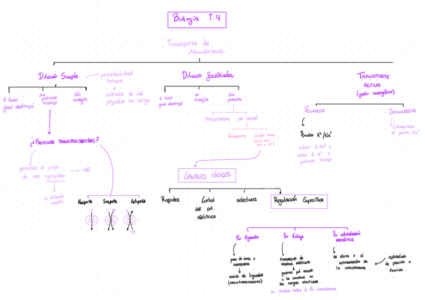 Miniatura del documento Biology-Esquemas-2023-01-03-103807.pdf