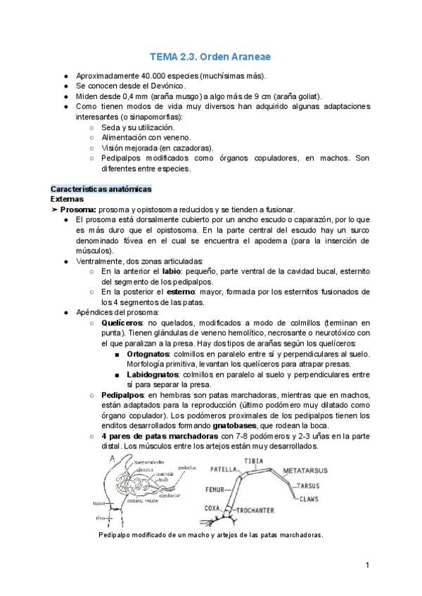 Miniatura del documento TEMA-2.pdf