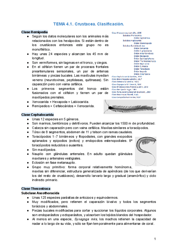Miniatura del documento TEMA-4.pdf