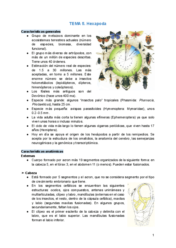 Miniatura del documento TEMA-5.pdf