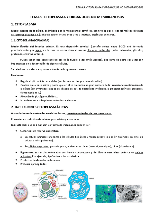 Miniatura del documento TEMA-9.-CITOPLASMA-Y-ORGANULOS-NO-MEMBRANOSOS.pdf