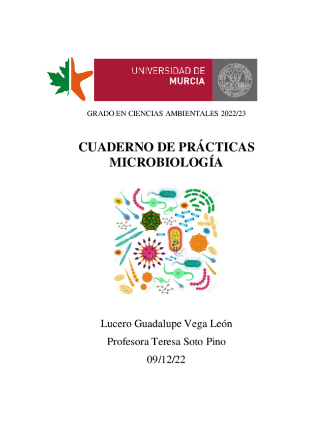 Miniatura del documento 2-Vega-Leon-Practicas.pdf