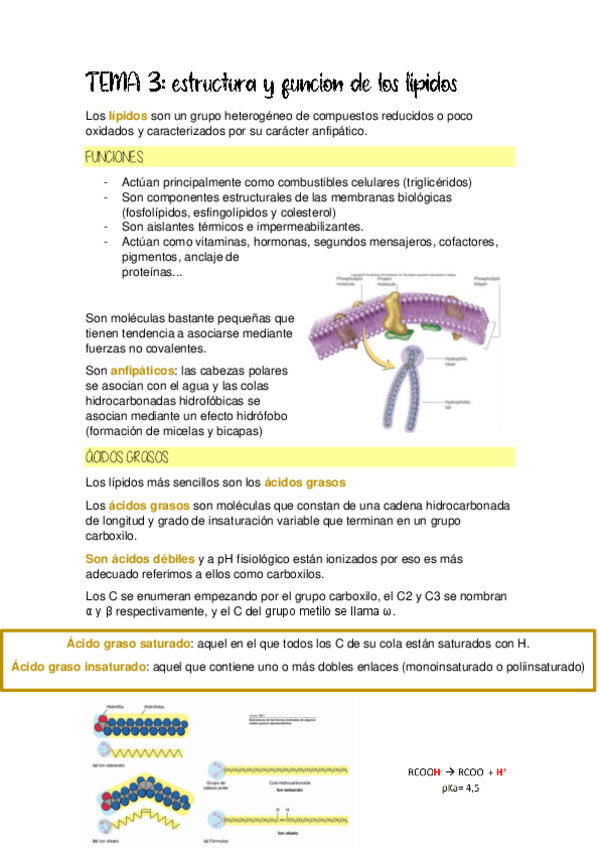 Miniatura del documento TEMA-3.pdf
