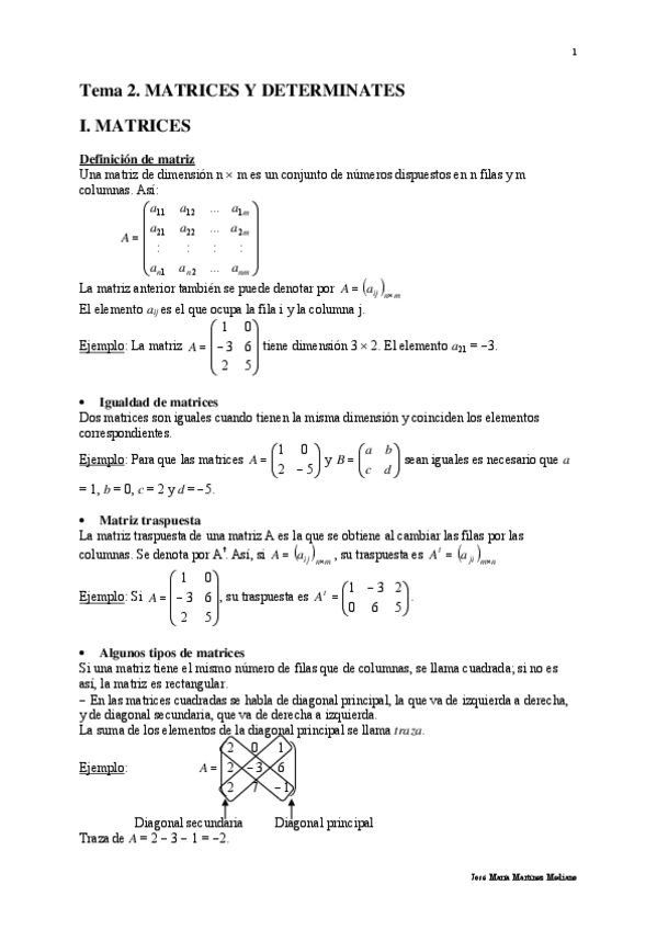 Miniatura del documento Tema-02-Matrices-y-determinantes-13.pdf