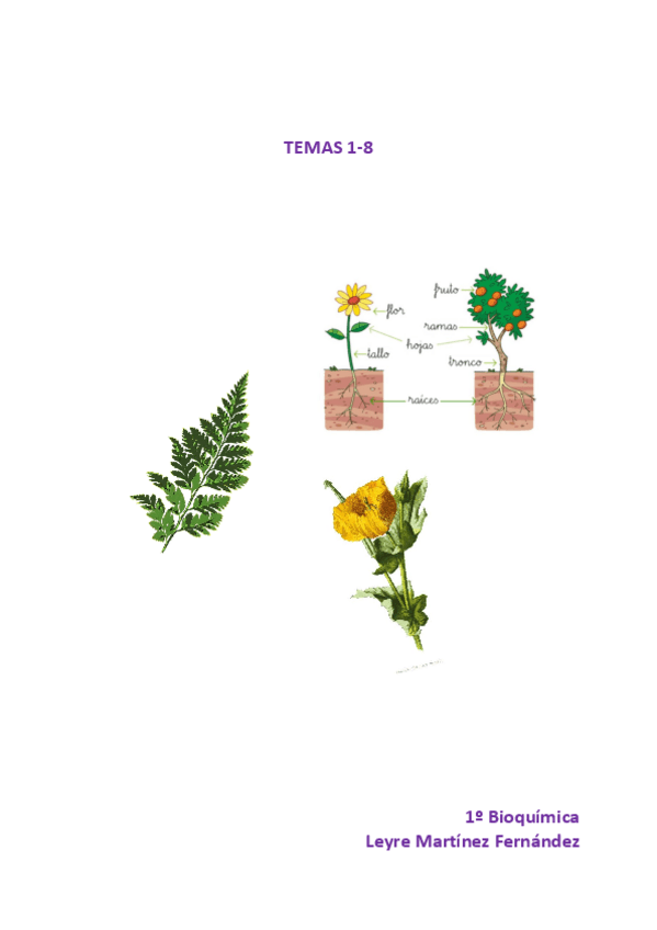 Miniatura del documento Apuntes-Botanica.pdf
