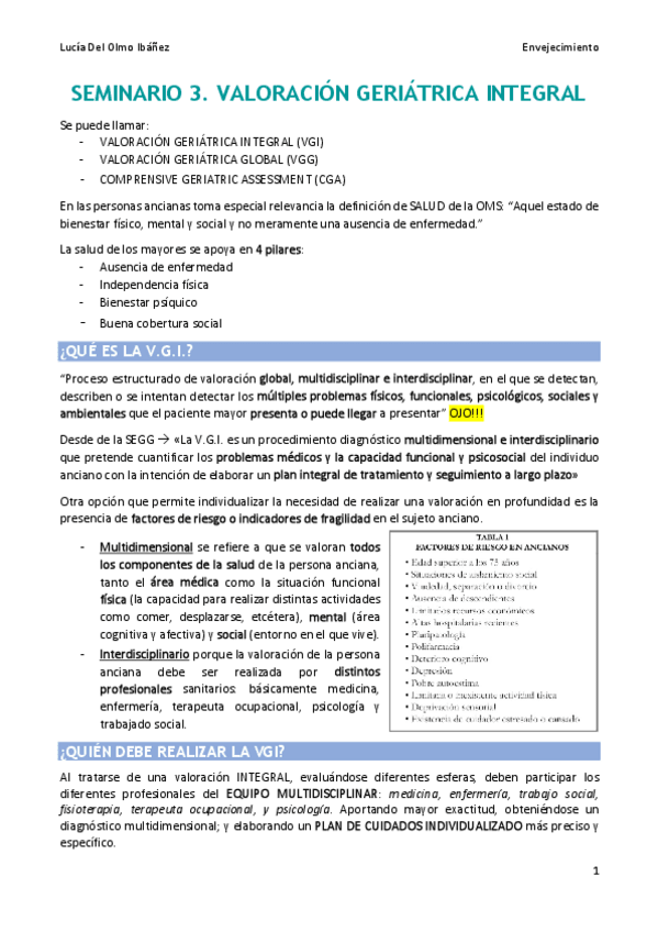 Miniatura del documento Apuntes-seminario-VGI.pdf
