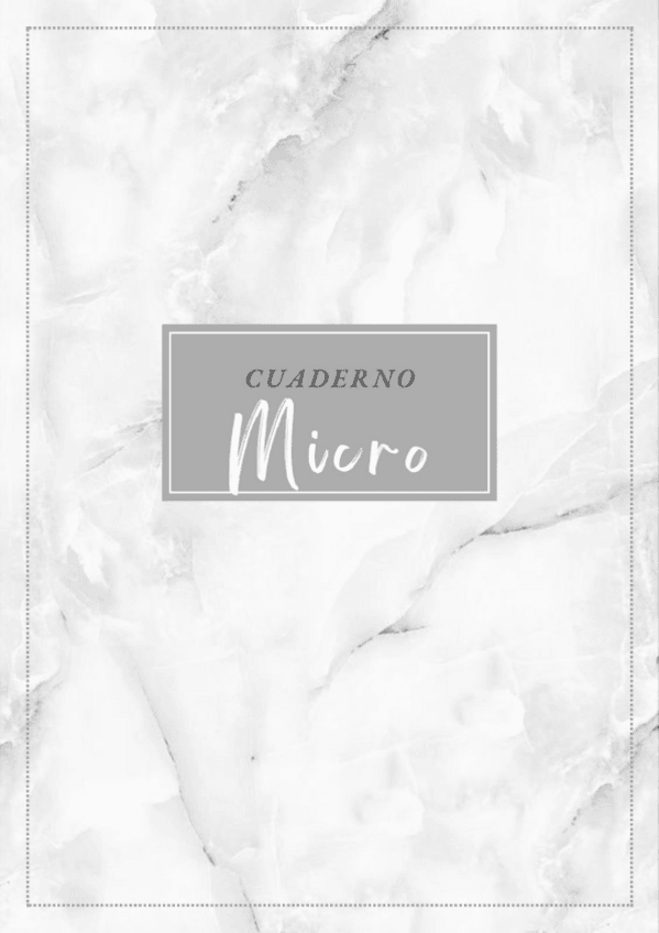 Miniatura del documento micro.pdf