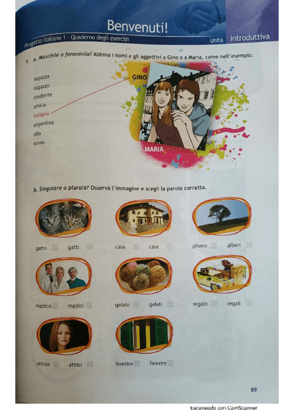 Miniatura del documento Libro-Proggeto-italiano-1.pdf