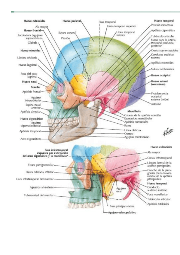 Miniatura del documento SUPER-PDF-DEL-PRACTICO.pdf