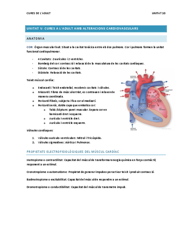 Miniatura del documento Unitat-5.-Cardiovascular.pdf