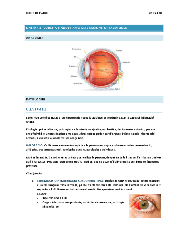 Miniatura del documento Unitat-10.-Oftalmic.pdf