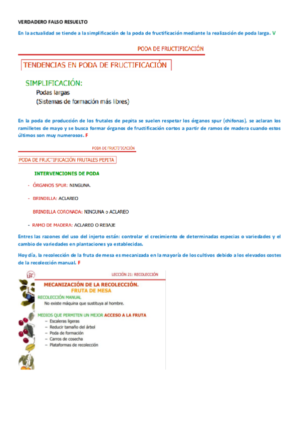 Miniatura del documento VERDADERO-FALSO-RESUELTO.pdf