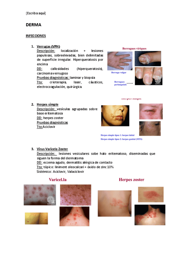 Miniatura del documento DERMA.pdf