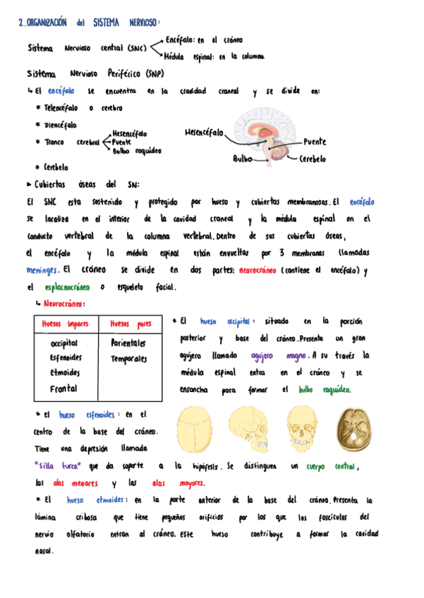 Miniatura del documento Tema-2.pdf
