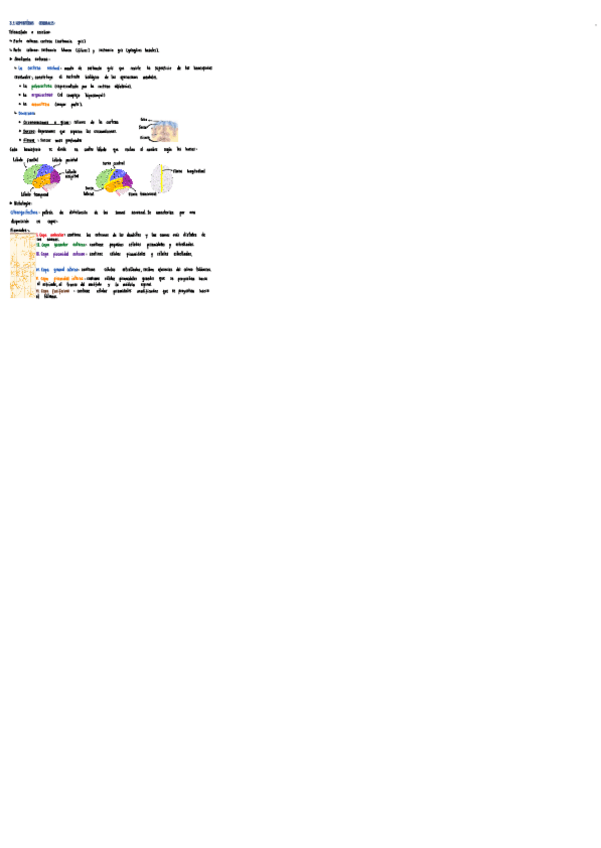 Miniatura del documento Tema-3.pdf