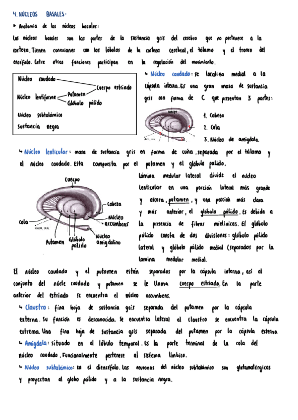 Miniatura del documento Tema-4 y 5.pdf