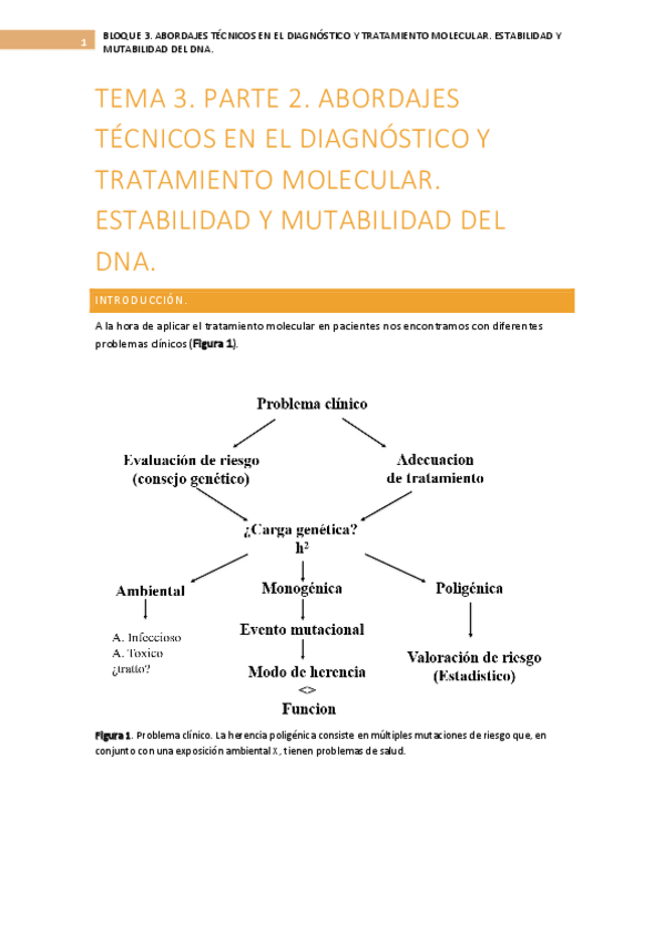 Miniatura del documento BLOQUE-3.-TEMA-3.2.pdf