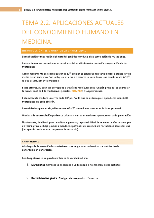 Miniatura del documento BLOQUE-2.-TEMA-2.2.pdf