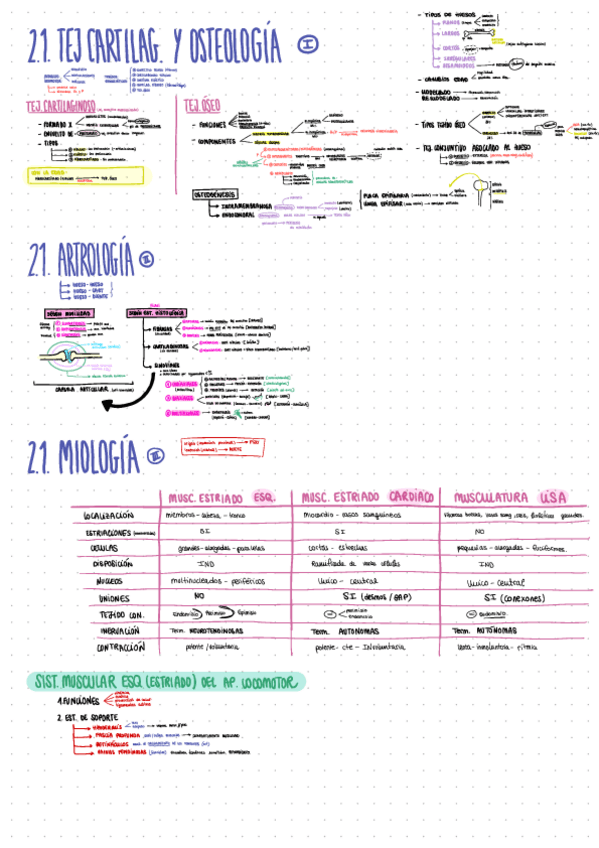 Miniatura del documento 2.1-OSTEOARTTROMIOLOGIA.pdf