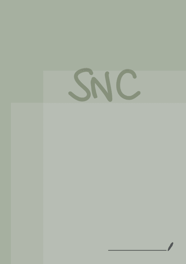 Miniatura del documento 3.2-SNC.pdf